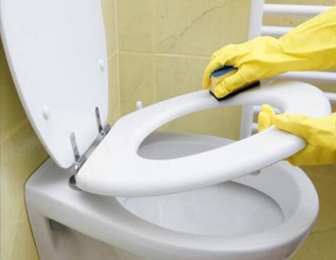 厕所零垃圾｜自制洁厕块，厕所清洁剂，马桶除垢粉