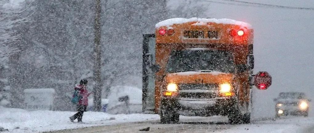 暴雪一夜！维多利亚巴士、学校等通通关闭；BC轮渡多个班次取消！！