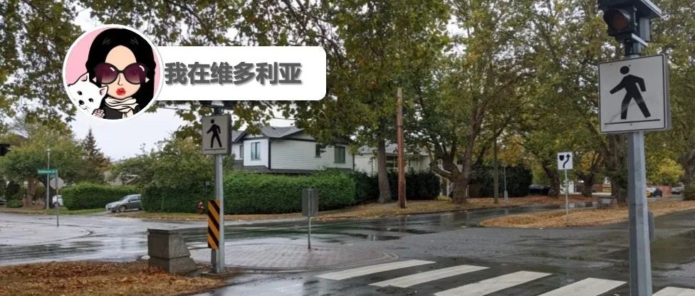 心塞！Saanich一名儿童过马路时被车撞倒！大雨即将袭击岛上部分地区！