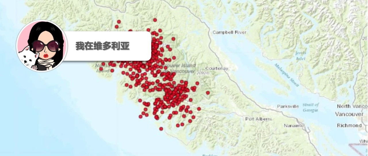 新闻｜大地震要来啦？温岛过去一周记录了600多次微震！Tofino“生命线”大巴停止服务。。