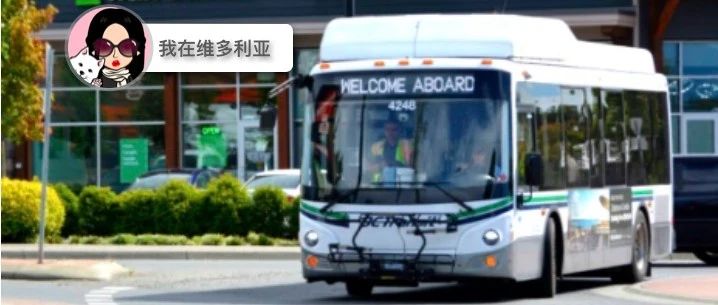 新闻｜频次减少！维村公交车因机械问题大量撤回！市中心多条道路整改！