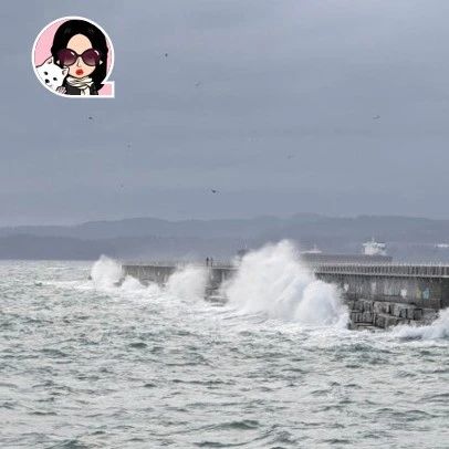 新闻｜天呐！风暴和洪水周末袭击维多利亚！双子座流星雨要来了！