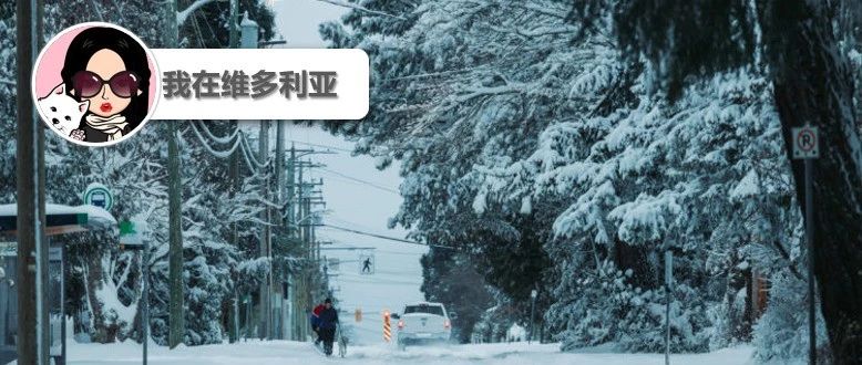 新闻｜注意啦！温哥华岛迎来降雪和低温！美国加征关税在即，温哥华岛岛民如何应对？